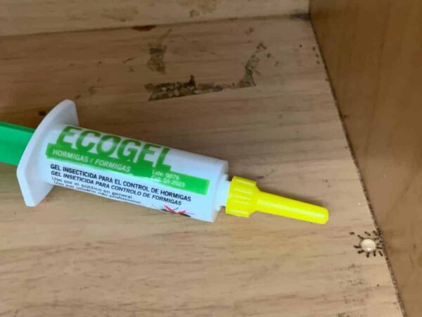ECOGEL Ant Bait 5g - Image 2
